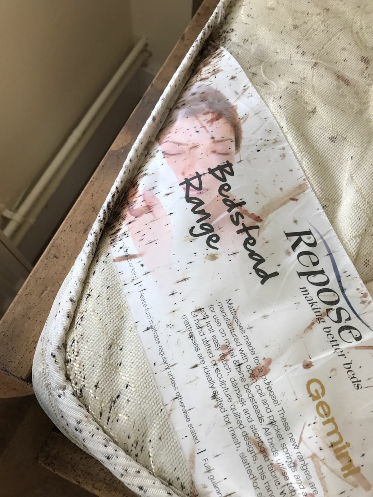 Bedbug Control Luton 07852 111437 E.R.D Pest Control Services