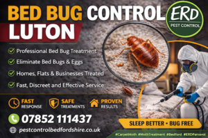 Bedbug treatments luton