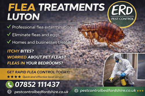 Flea treatments luton
