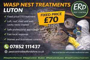 Wasp nest treatments-luton
